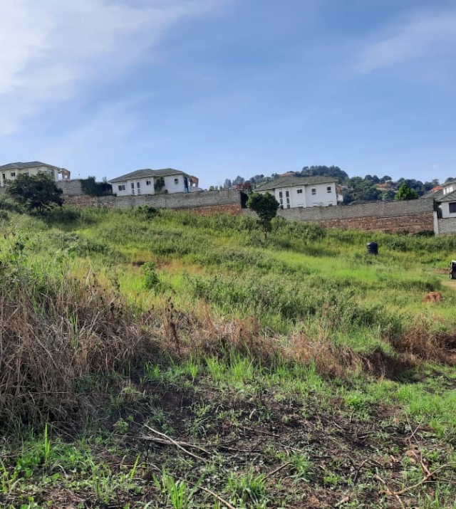 WhatsApp Image 2021-04-17 at 09.48.16.jpeg